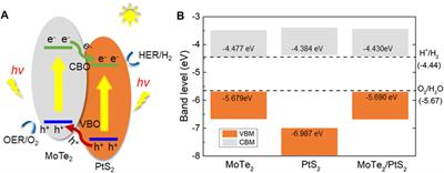 Two-Dimensional PtS2/MoTe2 van der Waals Heterostructure: An Efficient Potential Photocatalyst for Water Splitting